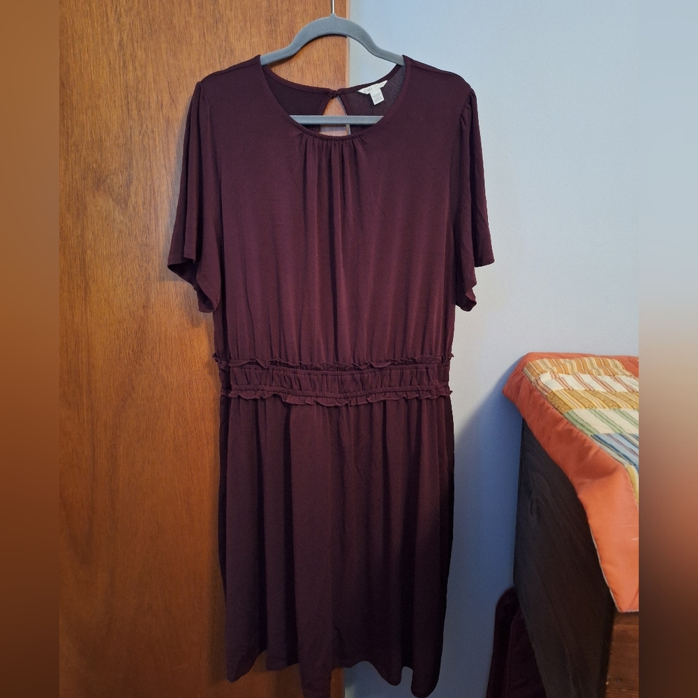 Final Price* Cato NWOT Short Sleeve Waist Midi Dress - Plum Women's Size 18/20
